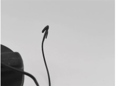 Recambio de tapon combustible para renault clio v 1.0 business referencia OEM IAM 7700812369K 7700431898 