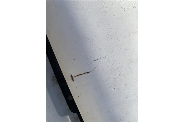 Recambio de capo para nissan terrano ii (r20) 2.7 td 4wd referencia OEM IAM 651000F030  