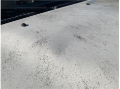 Recambio de capo para nissan terrano ii (r20) 2.7 td 4wd referencia OEM IAM 651000F030  