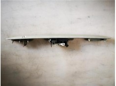 MOLDURA PORTON TRASERO 7680102100B3 