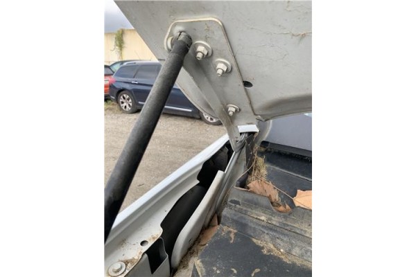 Recambio de bisagra capo derecha para jaguar f-pace 2.0 r-sport awd referencia OEM IAM T4A1898 Recambio de bisagra capo derecha para jaguar f-pace 2.0 r-sport awd referencia OEM IAM T4A1898