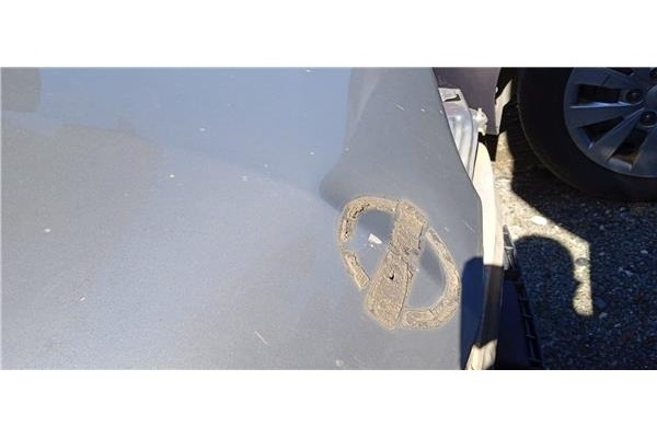 Recambio de capo para nissan primera hatchback (p12) 1.6 referencia OEM IAM 65100AV630  