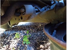 Recambio de puente trasero para nissan primera hatchback (p12) 1.6 referencia OEM IAM 55501AV600 QG16 