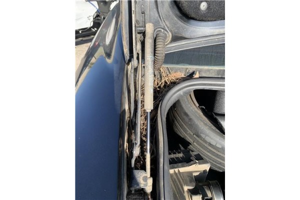 Recambio de amortiguador tapa maletero para peugeot 407 coupé 2.0 hdi referencia OEM IAM 8731L2  