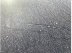 Recambio de capo para peugeot 407 coupé 2.0 hdi referencia OEM IAM 7901L6  