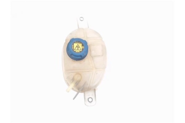 Recambio de botella expansion para fiat qubo (300) 1.3 active referencia OEM IAM 51780710 955504 1622715480 , PEUGEOT