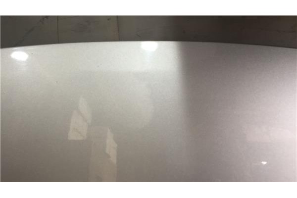Recambio de capo para peugeot 207 1.6 confort referencia OEM IAM 7901 N2 L03650 