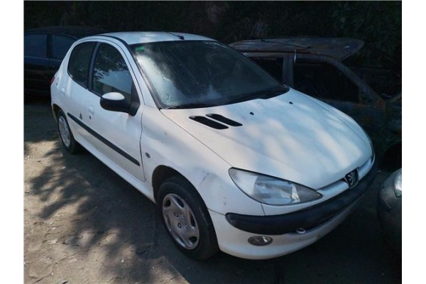 peugeot 206 del año 