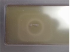 Recambio de reloj horario para citroen c5 berlina referencia OEM IAM 9657882880 147769 