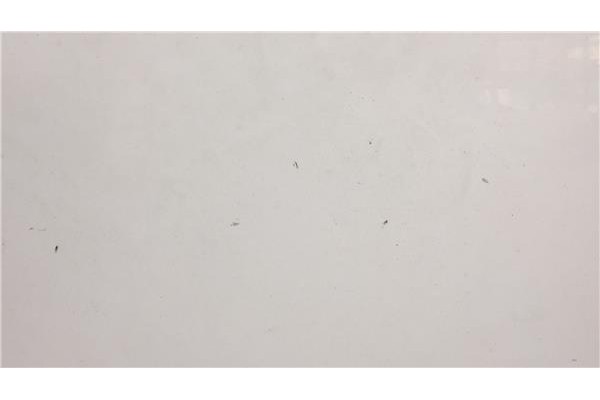 Recambio de capo para citroen berlingo 1.9 d 600 furgón referencia OEM IAM 7901K5 9839337980 