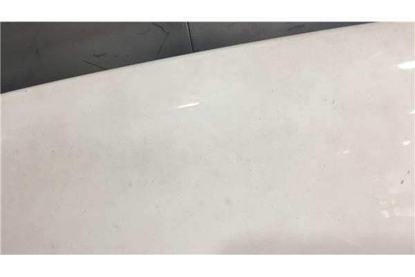 Recambio de capo para citroen berlingo 1.9 d 600 furgón referencia OEM IAM 7901K5 9839337980 