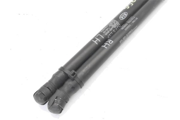 Recambio de amortiguador porton para kia rio (jb) 1.4 16v referencia OEM IAM 817801G000 7121TG0380N 