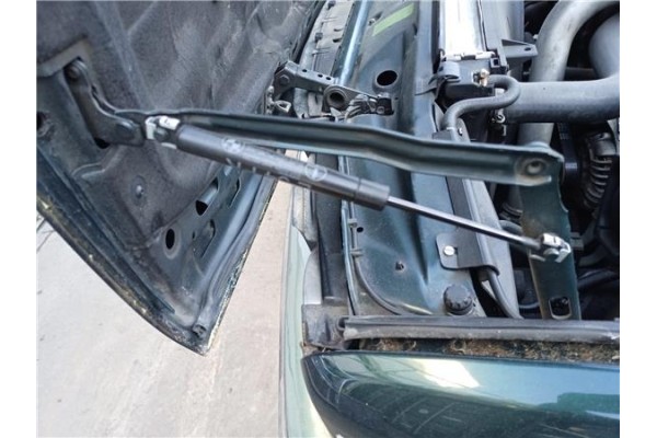 Recambio de amortiguador capo para bmw serie 5 berlina (e34) 2.5 525tds referencia OEM IAM 51231944119  