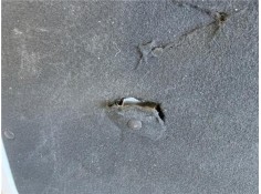 Recambio de puerta lat. corredera derecha para nissan nv200 /evalia (m20/m) 1.5 nv200 furgón basic referencia OEM IAM K01003LGMC