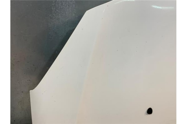 Recambio de capo para citroen c3 1.4 attraction referencia OEM IAM 7901R1  