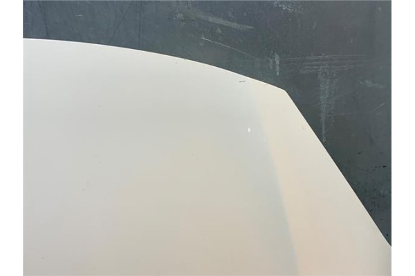 Recambio de capo para citroen c3 1.4 attraction referencia OEM IAM 7901R1  