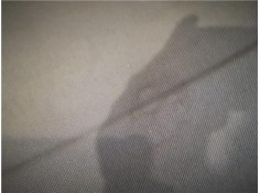 Recambio de bandeja trasero para audi rs3 sportback (8vf) 2.5 tfsi quattro referencia OEM IAM 8V4867769A RY9  