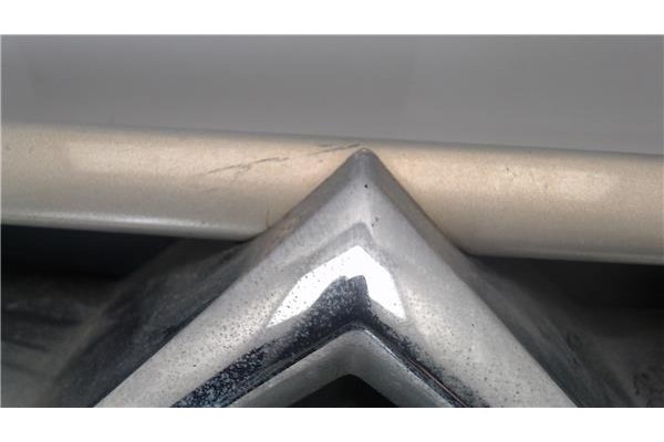 Recambio de rejilla capo para citroen xsara picasso referencia OEM IAM 9631507477  