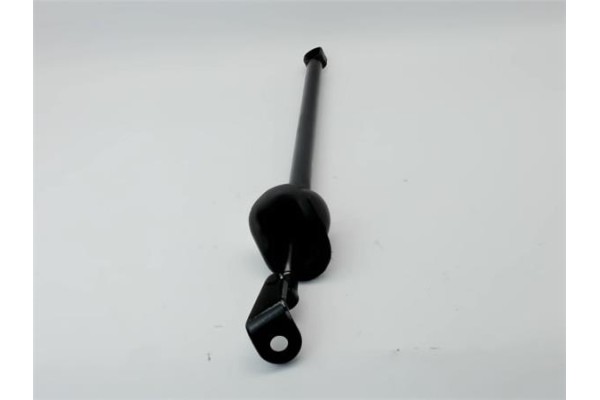 Recambio de amortiguador porton trasero derecho para bmw serie 7 (e65/e66) 4.4 745i referencia OEM IAM 51227001006 7514PM 