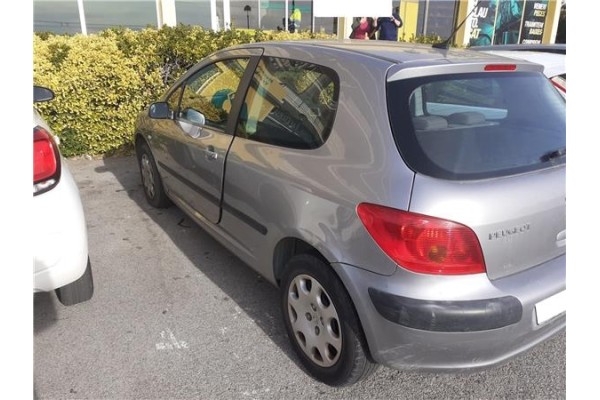 peugeot 307 (s1) del año 2004