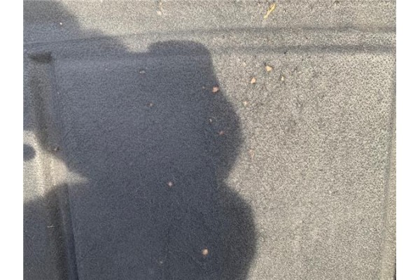 Recambio de bandeja trasero para peugeot 306 3/5 pt. (s1) referencia OEM IAM 8794JQ  