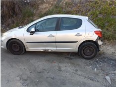 peugeot 207 del año 2009