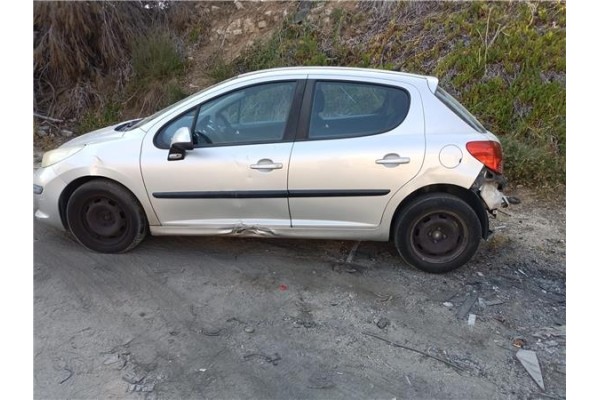 peugeot 207 del año 2009