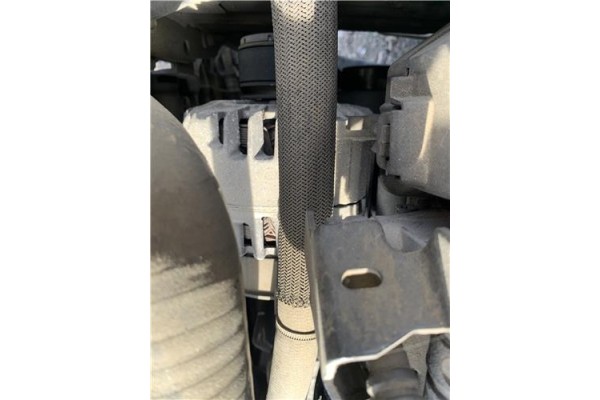 Recambio de alternador para renault grand scénic iii (jz0/1_) 1.5 dci referencia OEM IAM 231007239R Recambio de alternador para renault grand scénic iii (jz0/1_) 1.5 dci referencia OEM IAM 231007239R