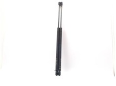 AMORTIGUADOR PORTON 0252LT 