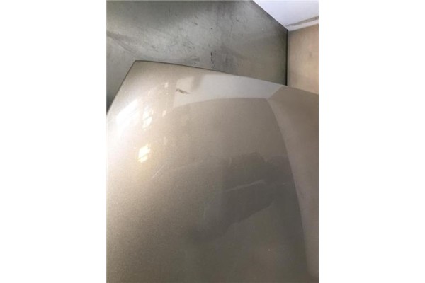 Recambio de capo para skoda fabia (6y2/6y3) 1.4 tdi referencia OEM IAM 6Y0823031  