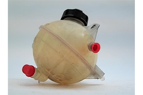 Recambio de botella expansion para citroen saxo 1.5 d referencia OEM IAM 1307V1  