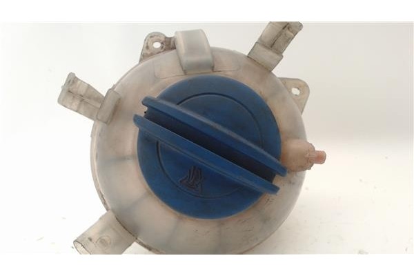 Recambio de botella expansion para volkswagen passat berlina (3c2) 2.0 tdi 16v referencia OEM IAM 1K0121407A 160057210 1K0121407