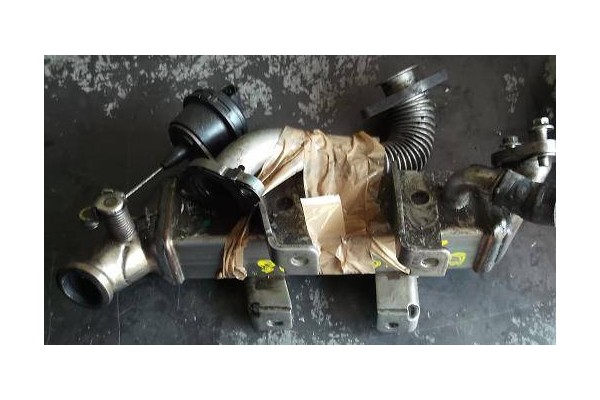 Recambio de intercambiador agua gases para nissan qashqai i (j10)(2007) 2.0 dci referencia OEM IAM   