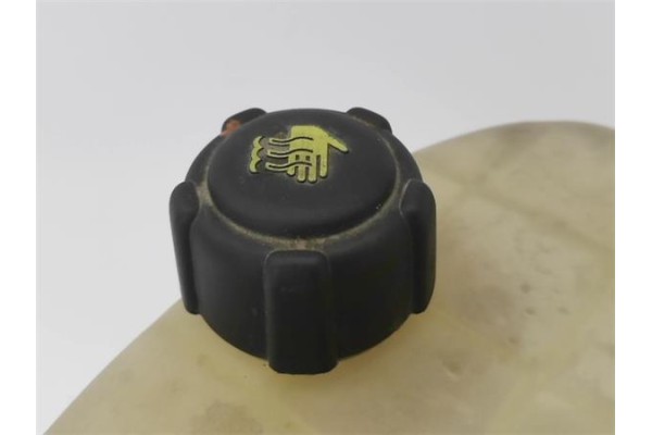 Recambio de deposito refrigerante para renault trafic ii furgón (fl) 2.5 dti referencia OEM IAM 7701206774  