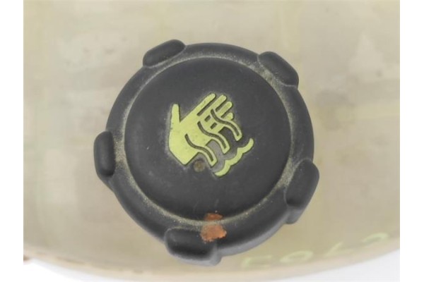 Recambio de deposito refrigerante para renault trafic ii furgón (fl) 2.5 dti referencia OEM IAM 7701206774  