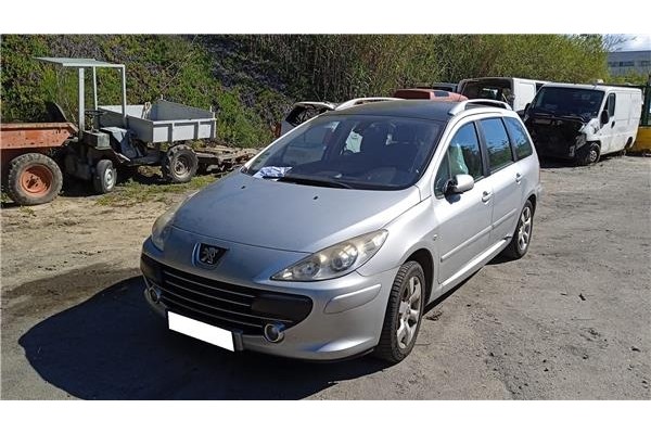 peugeot 307 break / sw (s1) del año 2007