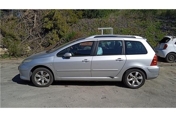peugeot 307 break / sw (s1) del año 2007