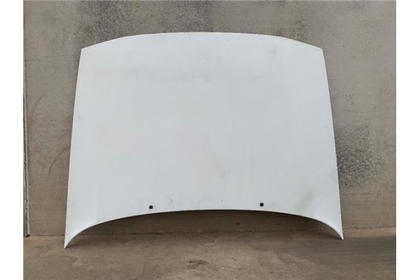 Recambio de capo para renault 21 sedán (l48_) 2.0 (l489) referencia OEM IAM   