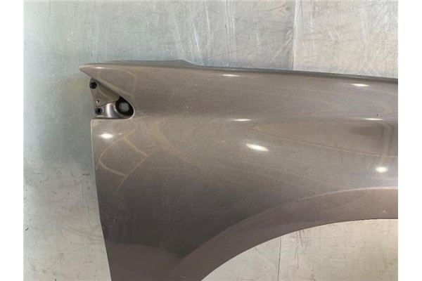 Recambio de aleta delantero derecha para renault laguna iii berlina 2.0 dci (bt01, bt0e, bt0k) referencia OEM IAM   