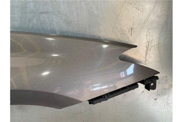 Recambio de aleta delantero derecha para renault laguna iii berlina 2.0 dci (bt01, bt0e, bt0k) referencia OEM IAM   