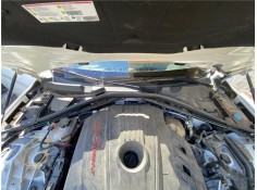 TORPEDO 1561188360 