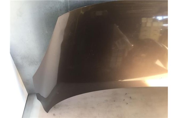 Recambio de capo para renault scenic iii (jz) 1.5 emotion referencia OEM IAM 651008842R  