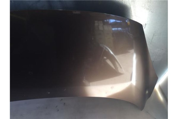 Recambio de capo para renault scenic iii (jz) 1.5 emotion referencia OEM IAM 651008842R  