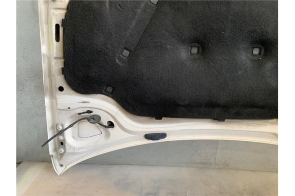 Recambio de capo para volkswagen golf v (1k1) 1.9 tdi referencia OEM IAM 1J0823031B  