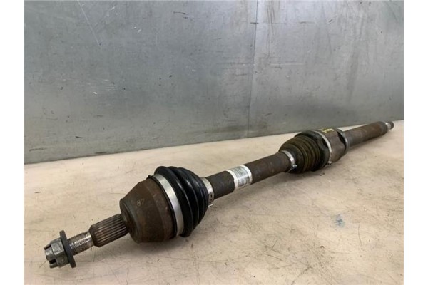 Recambio de palier delantero derecho para ford focus berlina (cew) 1.5 business referencia OEM IAM AV61-3B436-CD F1F6-3B436-GC, 