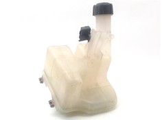 Recambio de botella expansion para renault laguna ii (bg0) 1.9 dci (bg1a, bg1w) referencia OEM IAM 8200447047  