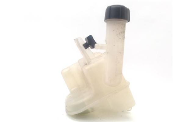 Recambio de botella expansion para renault laguna ii (bg0) 1.9 dci (bg1a, bg1w) referencia OEM IAM 8200447047  