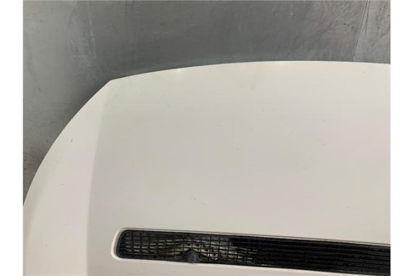 Recambio de capo para citroen jumpy furgón 2.0 hdi 120 referencia OEM IAM 7901N1  