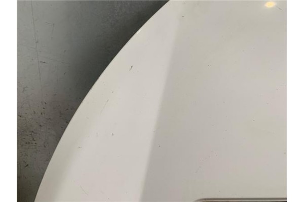 Recambio de capo para citroen jumpy furgón 2.0 hdi 120 referencia OEM IAM 7901N1  