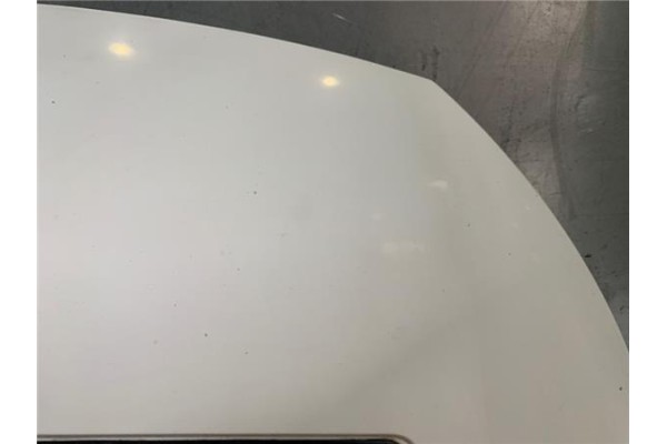 Recambio de capo para citroen jumpy furgón 2.0 hdi 120 referencia OEM IAM 7901N1  